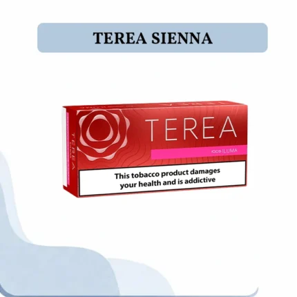 Buy IQOS TEREA Sienna Indonesia in the UAE