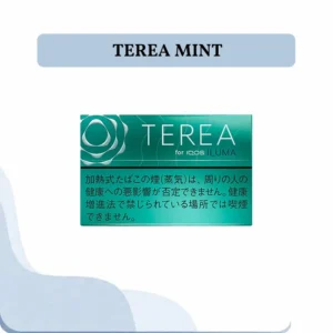 IQOS Terea Mint Japan 200 sticks box for ILUMA Dubai