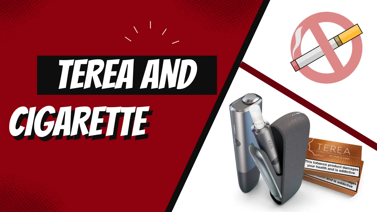 Why IQOS ILUMA & TEREA Are Different from Regular Cigarettes