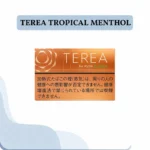 IQOS TEREA Tropical Menthol Japan box and pack for ILUMA - Dubai UAE