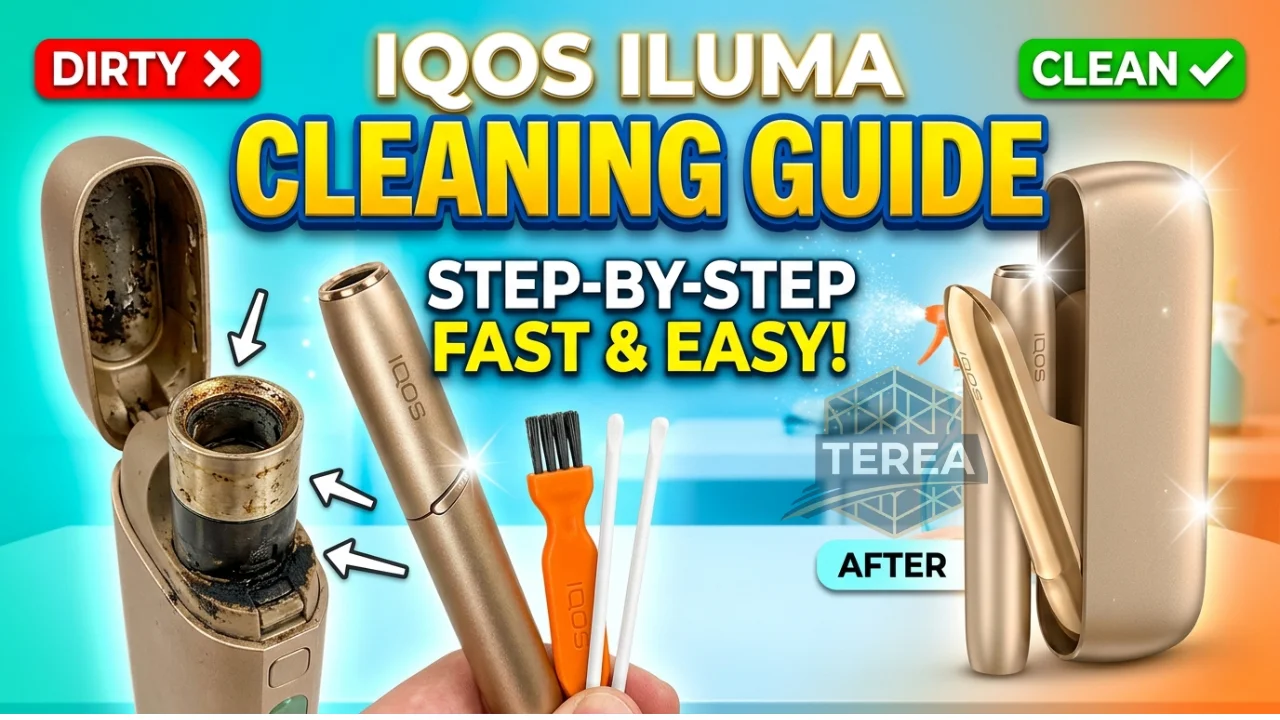 Do You Need to Clean IQOS ILUMA Cleaning & Maintenance Guide