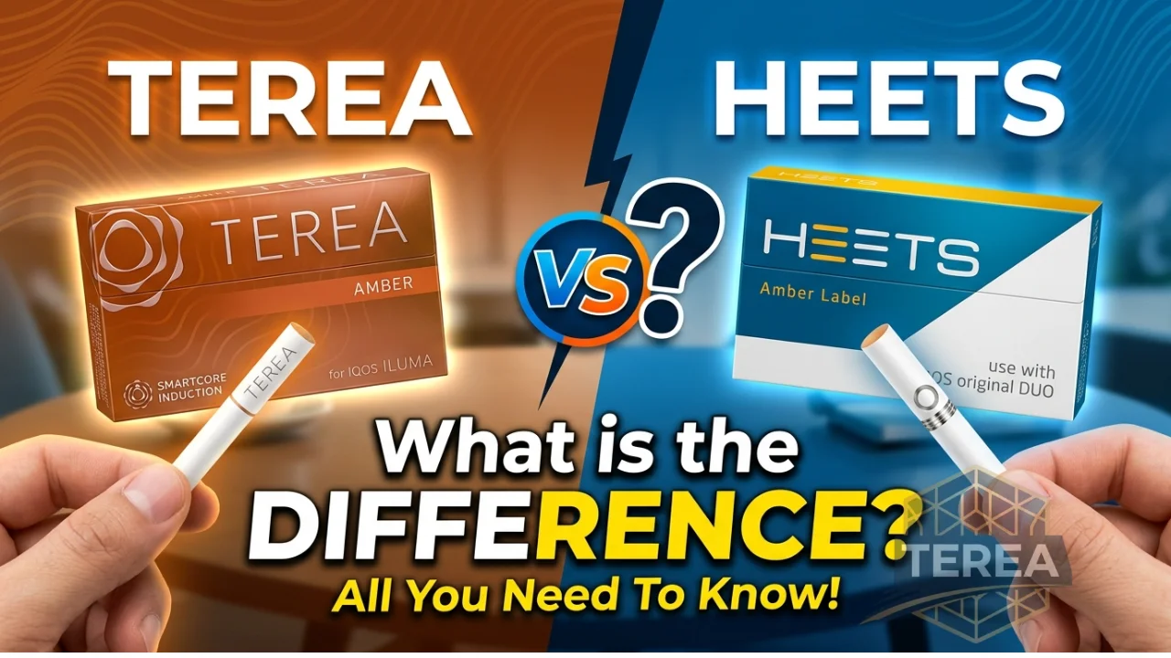 TEREA vs HEETS What Is the Difference