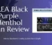 TEREA Black Purple Menthol Japan Review