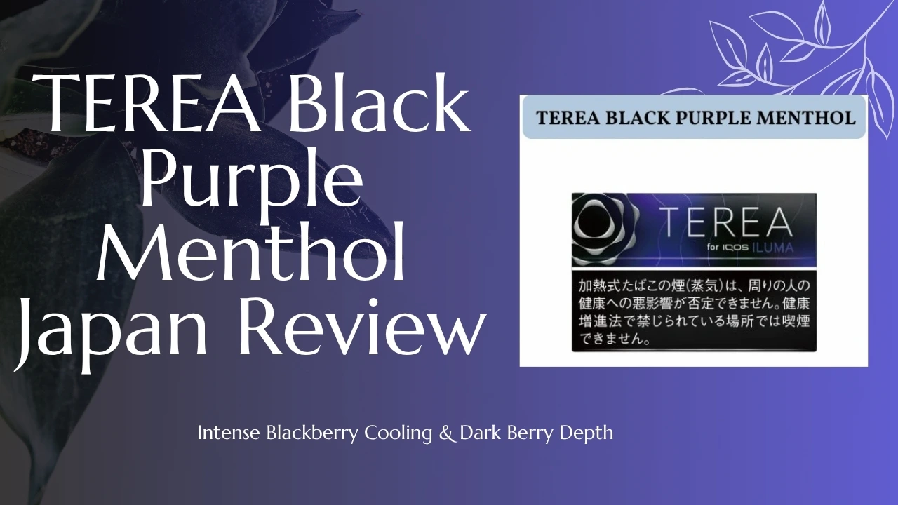 TEREA Black Purple Menthol Japan Review