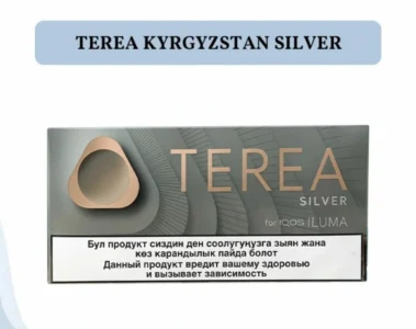 TEREA Silver Review