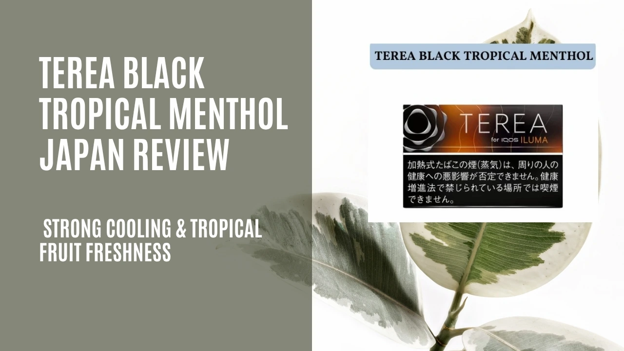 TEREA Black Tropical Menthol Japan Review