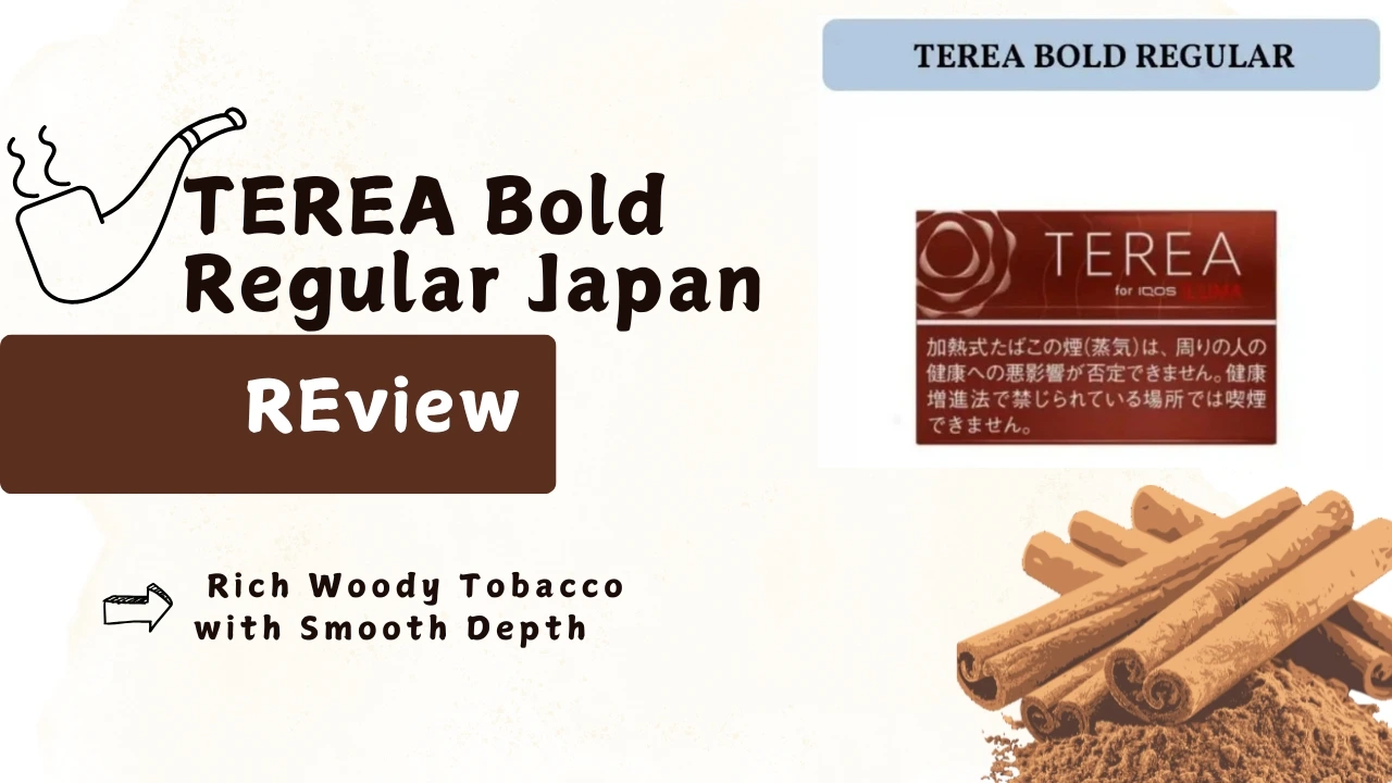 TEREA Bold Regular Japan Review