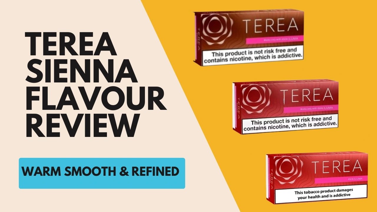 TEREA Sienna Review
