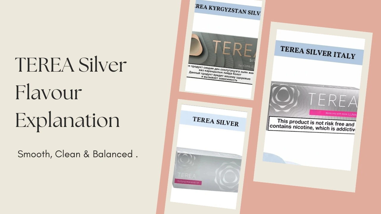 TEREA Silver Review