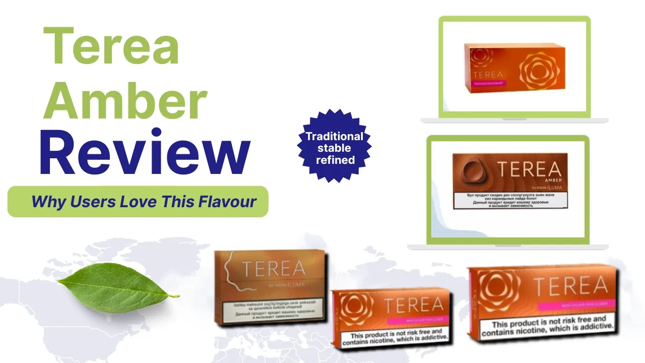 Terea Amber Review: Why Users Love This Flavour 1 Terea Amber Review