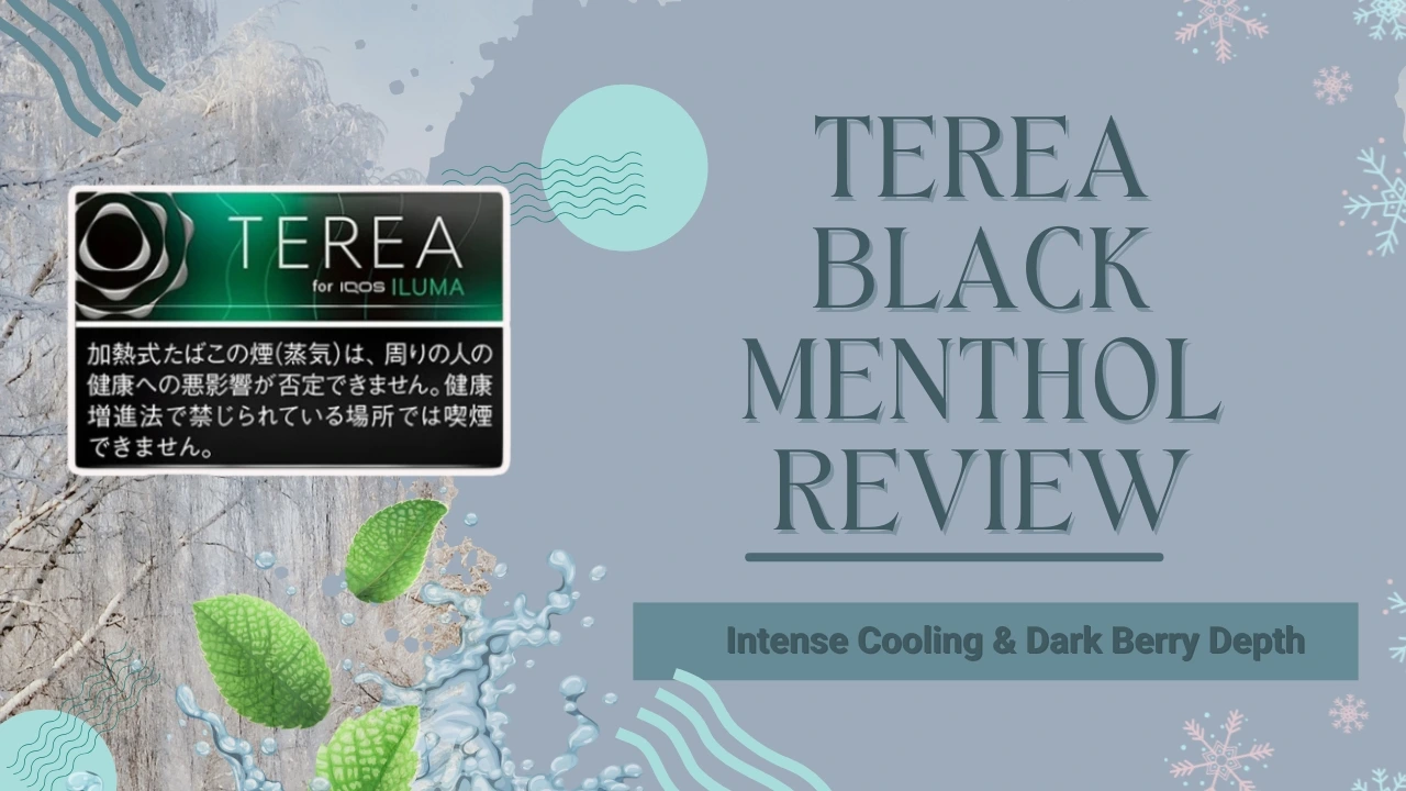 Terea Black Menthol
