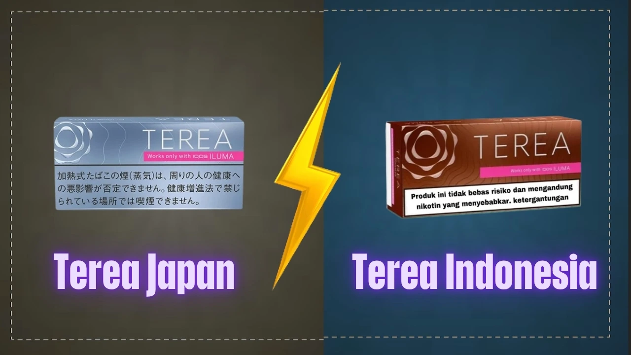 Terea Japan 1