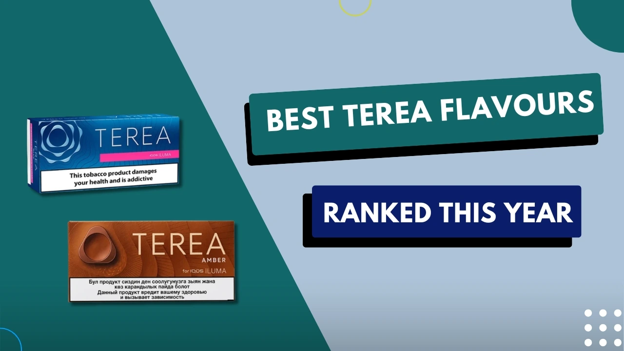 Best TEREA Flavours 1
