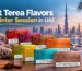 Best Terea Flavors for the Winter Season in the UAE